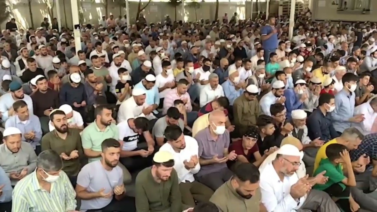 نوره من نوره المداح احمد الملا