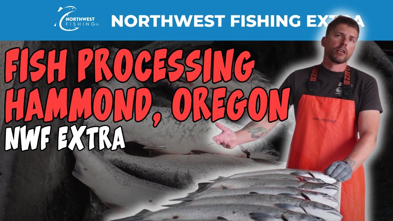 Processing Fresh-Caught Fish in Oregon! | Northwest Fishing Extra
