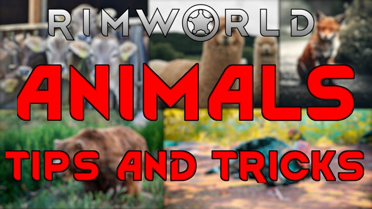 СОВЕТЫ И ПОДСКАЗКИ ПО ЖИВОТНЫМ 1.3 — Руководство по игре Rimworld Tutorial