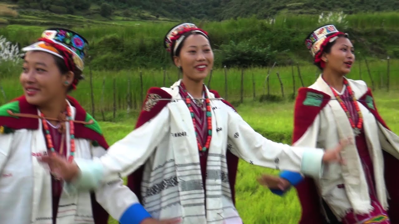 Zombale zombale video