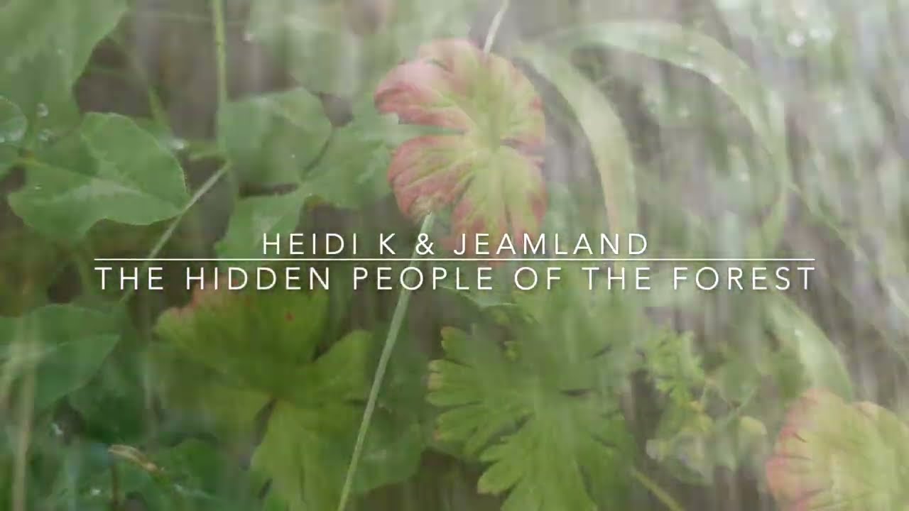 Hidden People Of The Forest by Heidi K & Jeamland