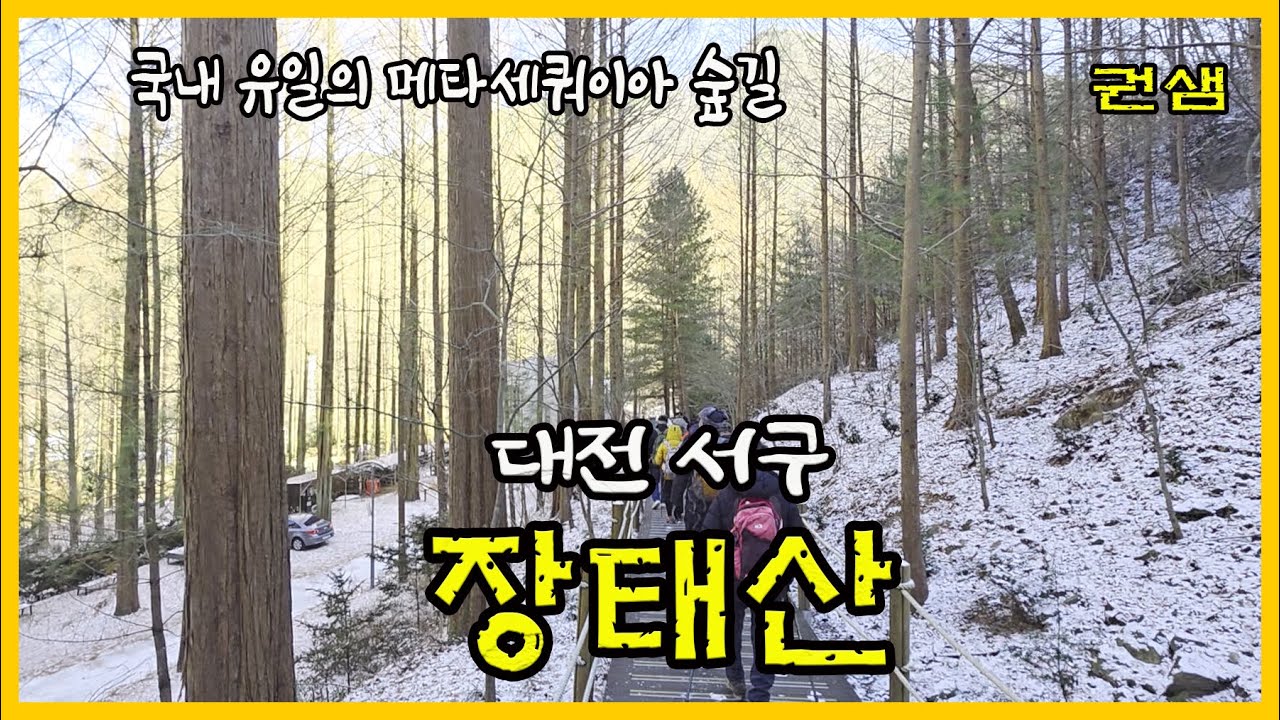 대전서구 [장태산]