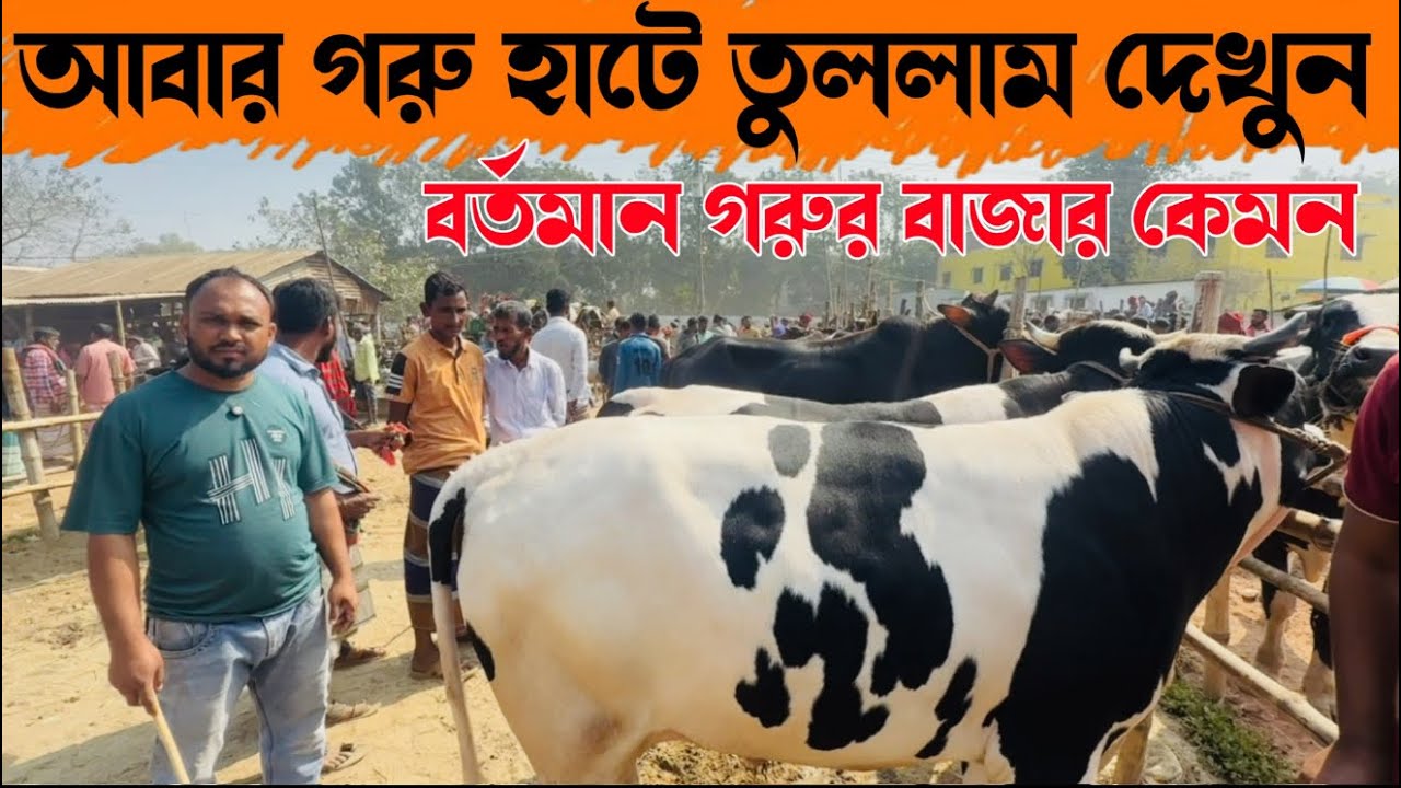 ১৯০ - আবার গরু হাটে তুললাম দেখুন বর্তমান গরুর বাজার কেমন