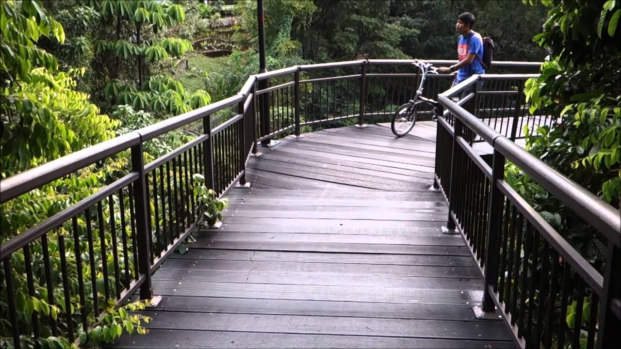 Dahon Boardwalk Folding Bike To Singapore