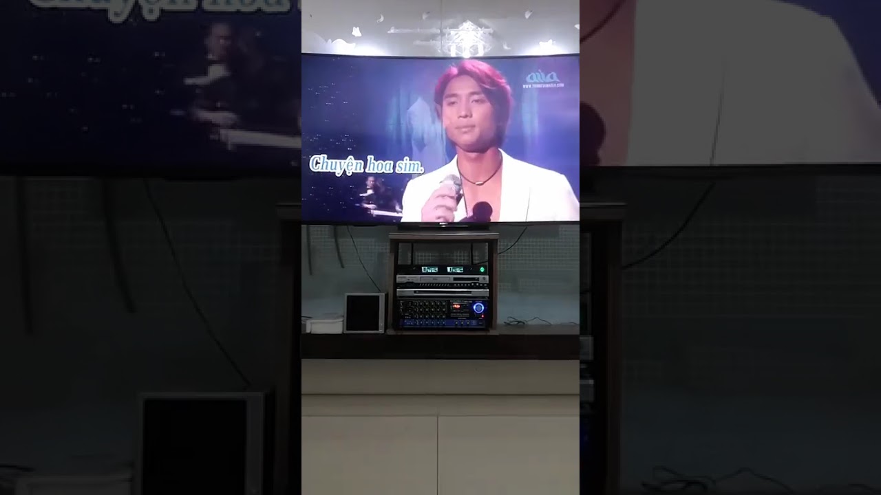 Chuyện hoa Sim - HT cover