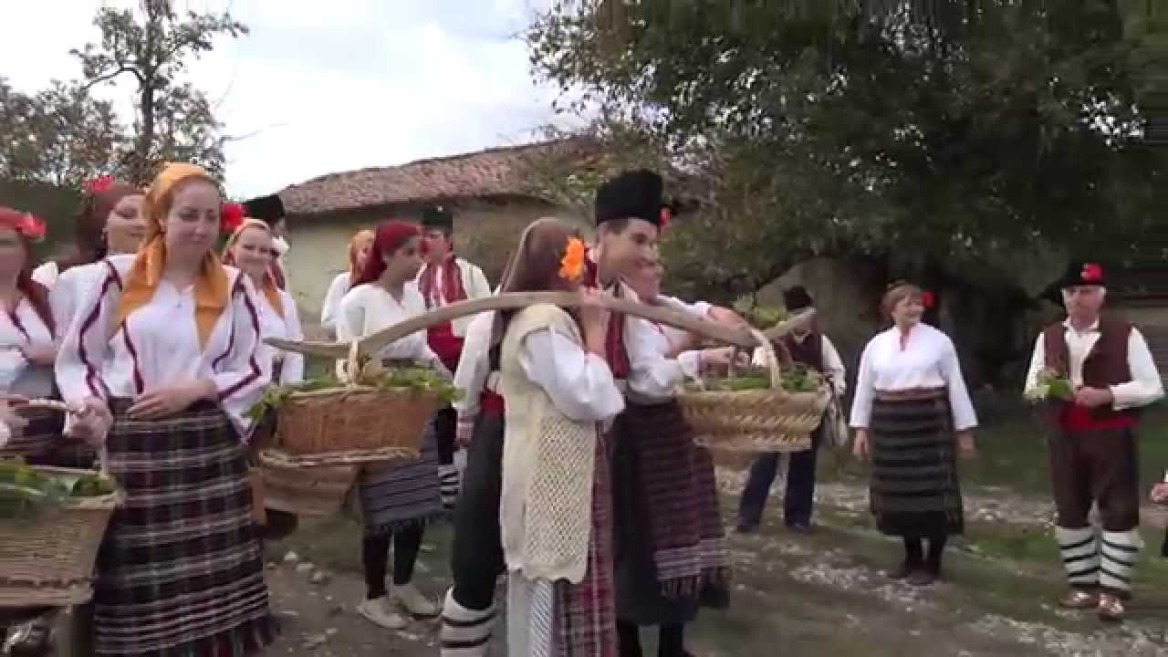 Трифон Зарезан, Община Смядово