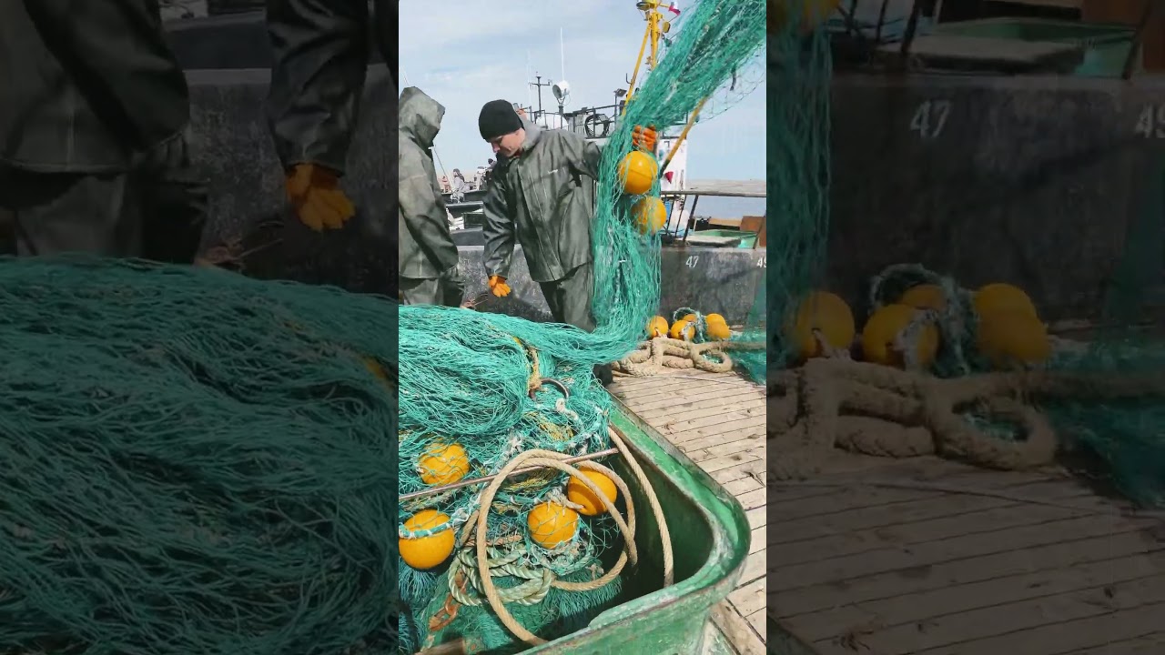 @Охотское море # 