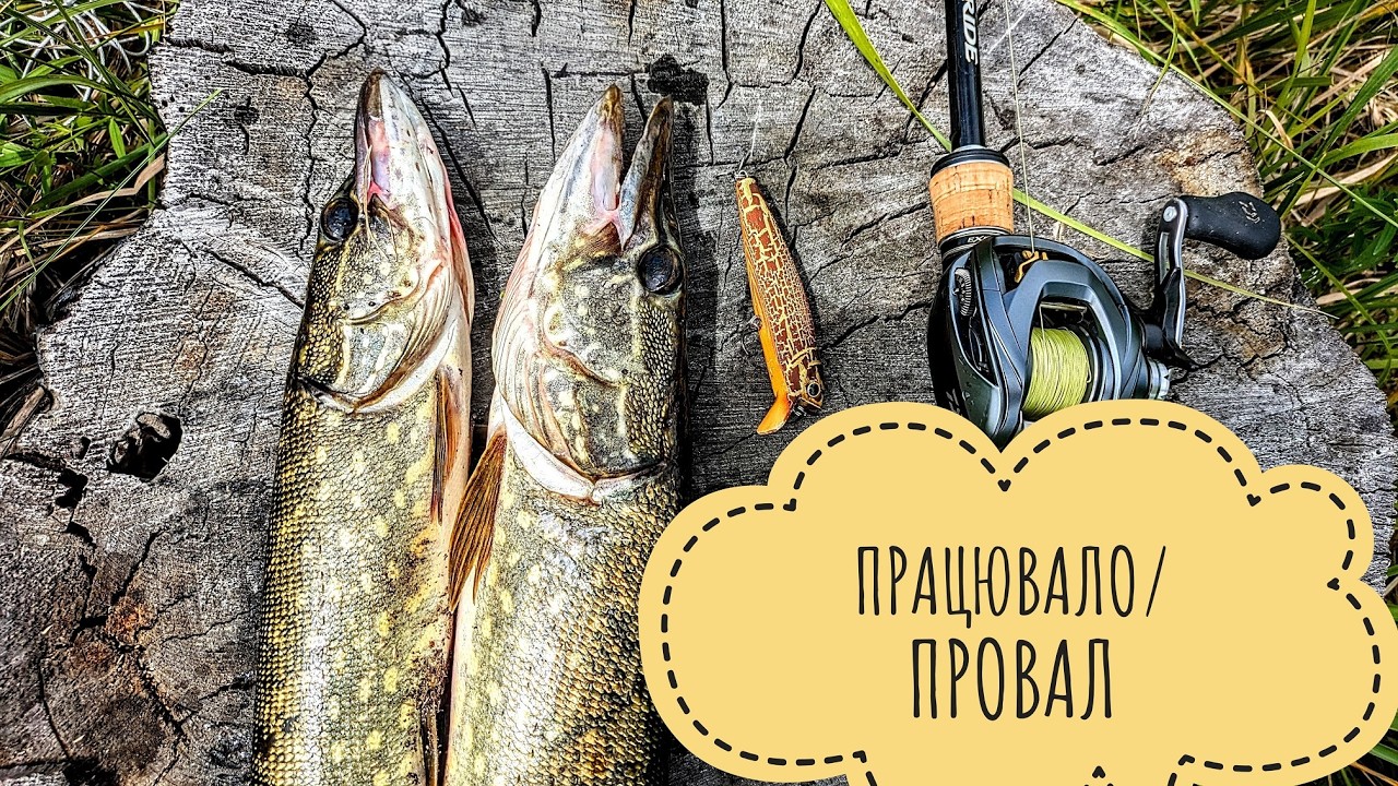 Спінінг 2025: ці приманки ловили, а ці — повний провал