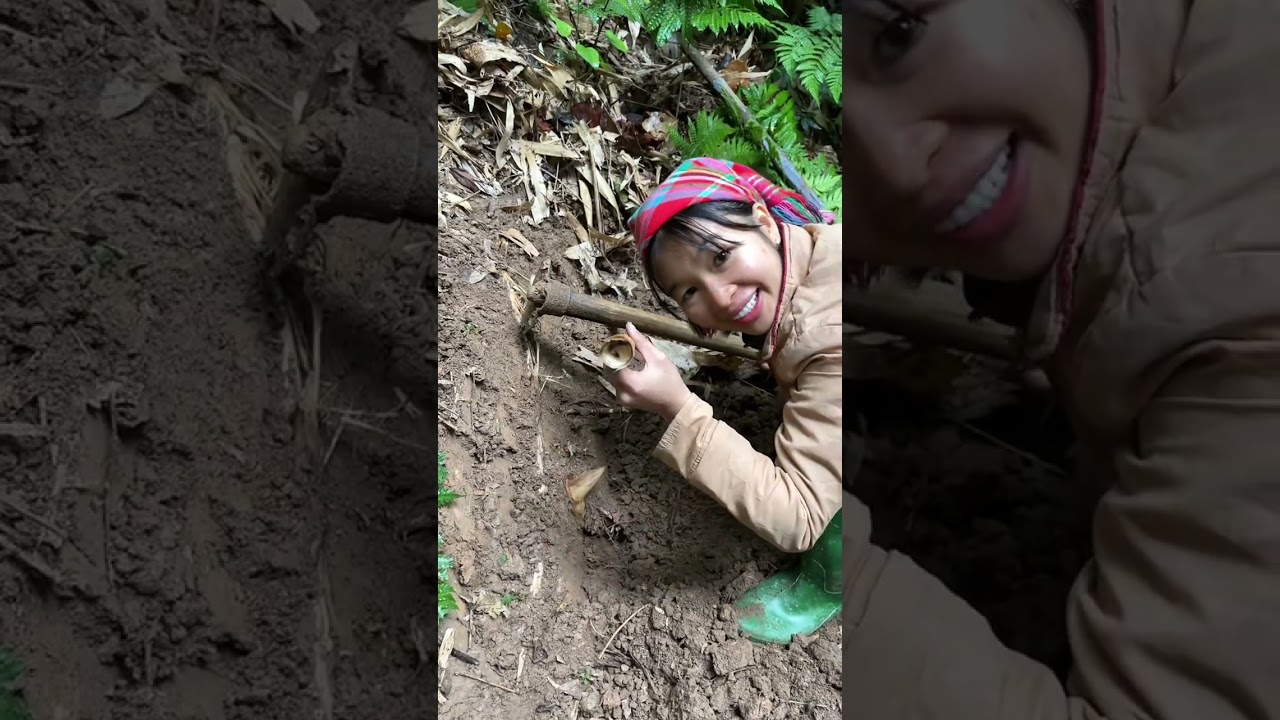 Một ngày đi tìm măng đầu mùa