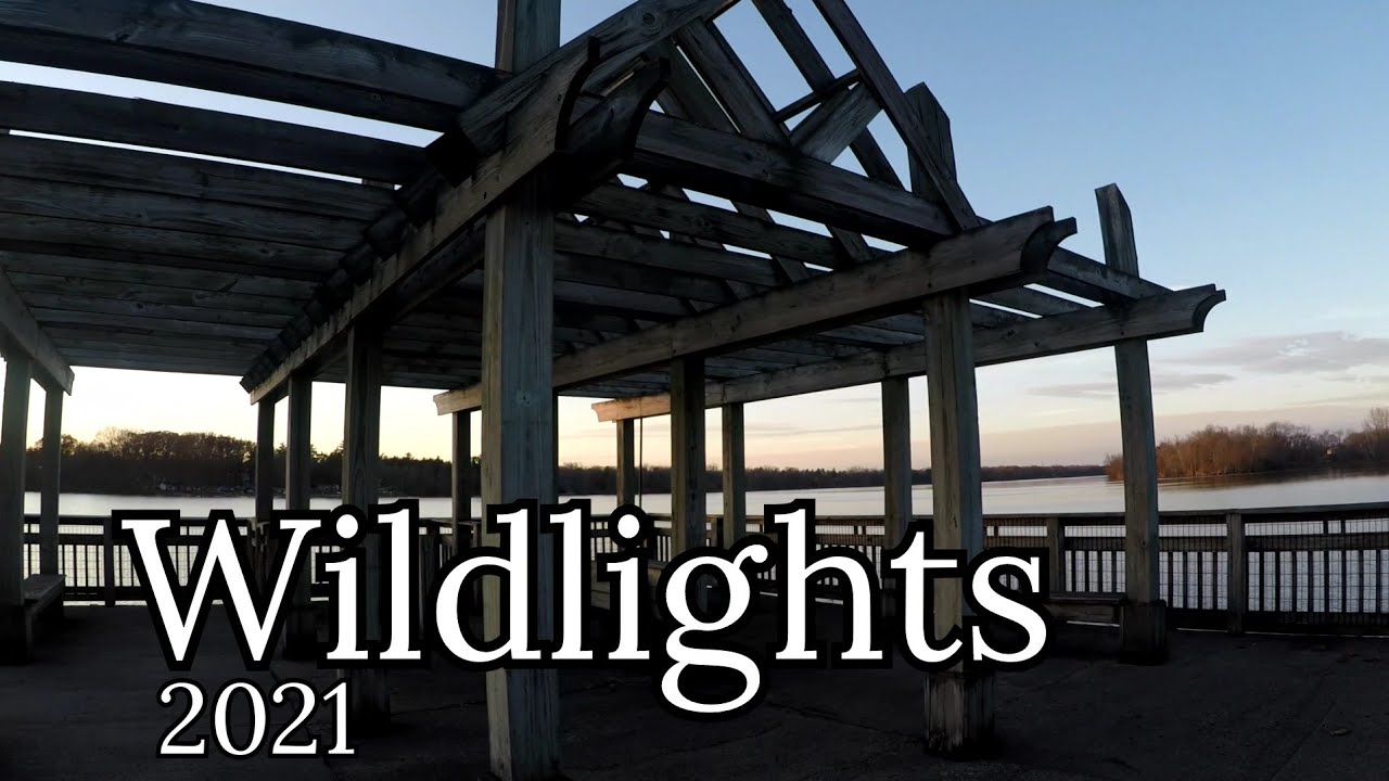 Walking Tour of WildLights  l  Columbus Zoo and Aquarium  l  ThatGuyJunJun