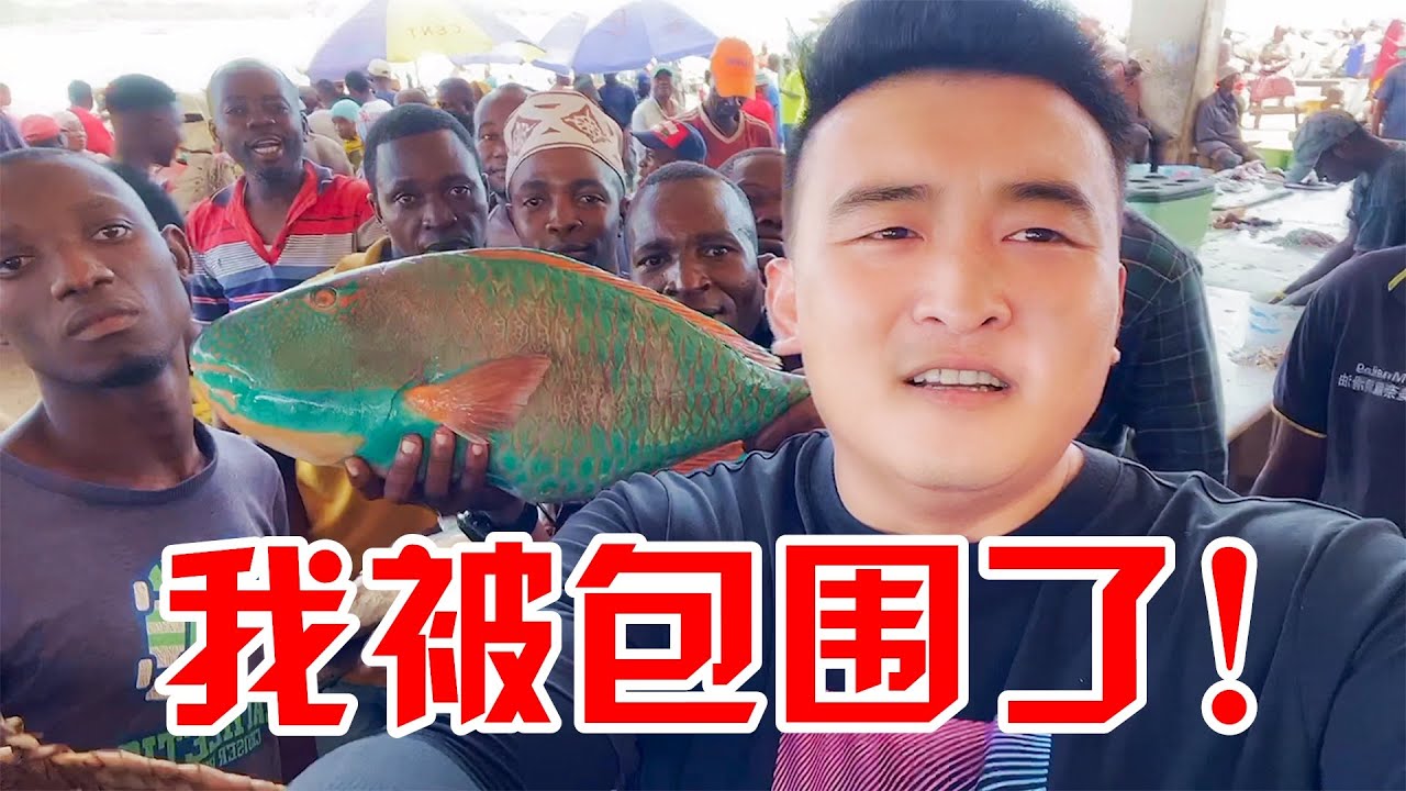300元在非洲能买多少海鲜，今天看我疯狂讲价，这数量我都吓到了