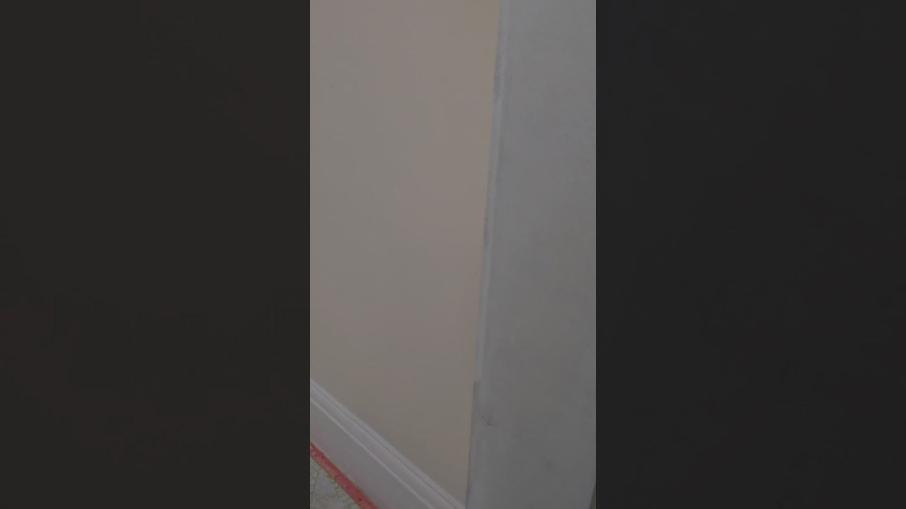 Priming first coat with zinsser bin