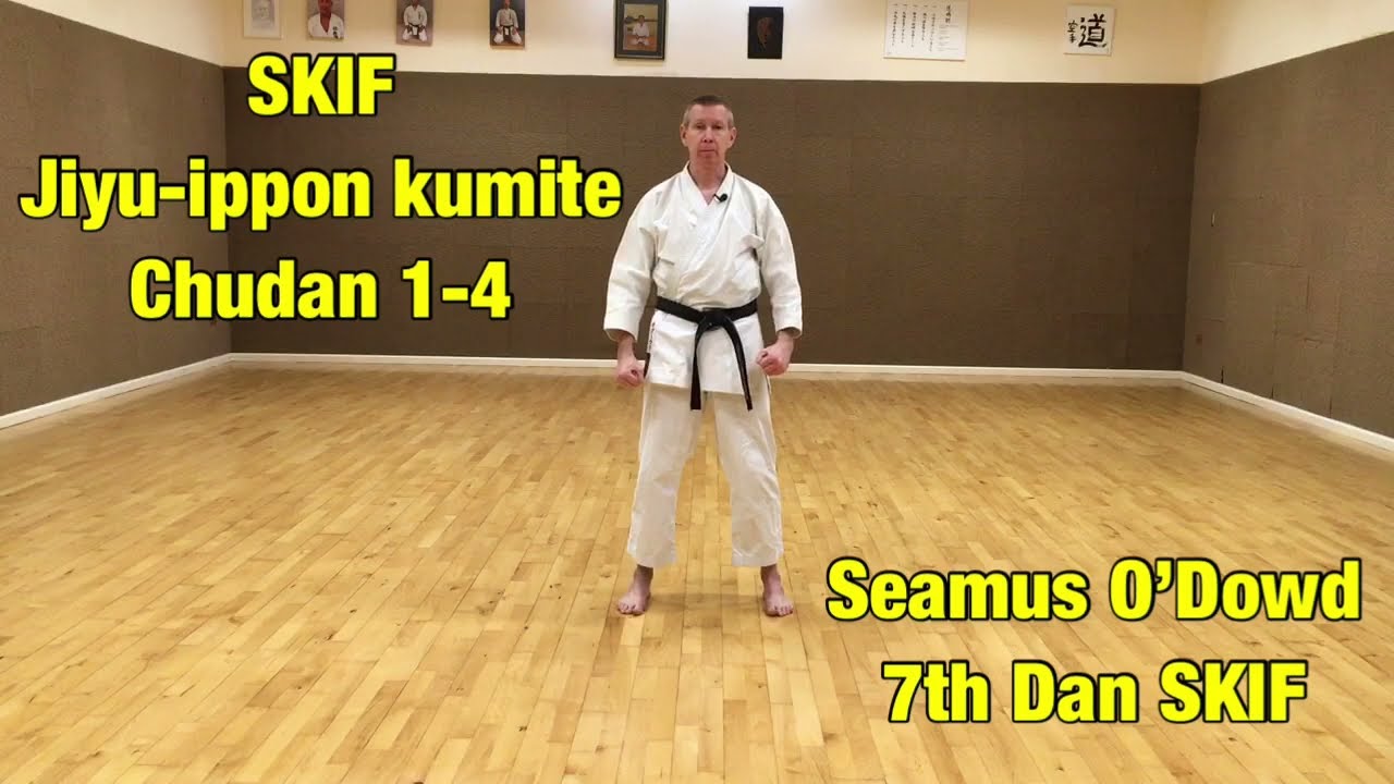 SKIF Jiyu-ippon kumite: chudan 1-4