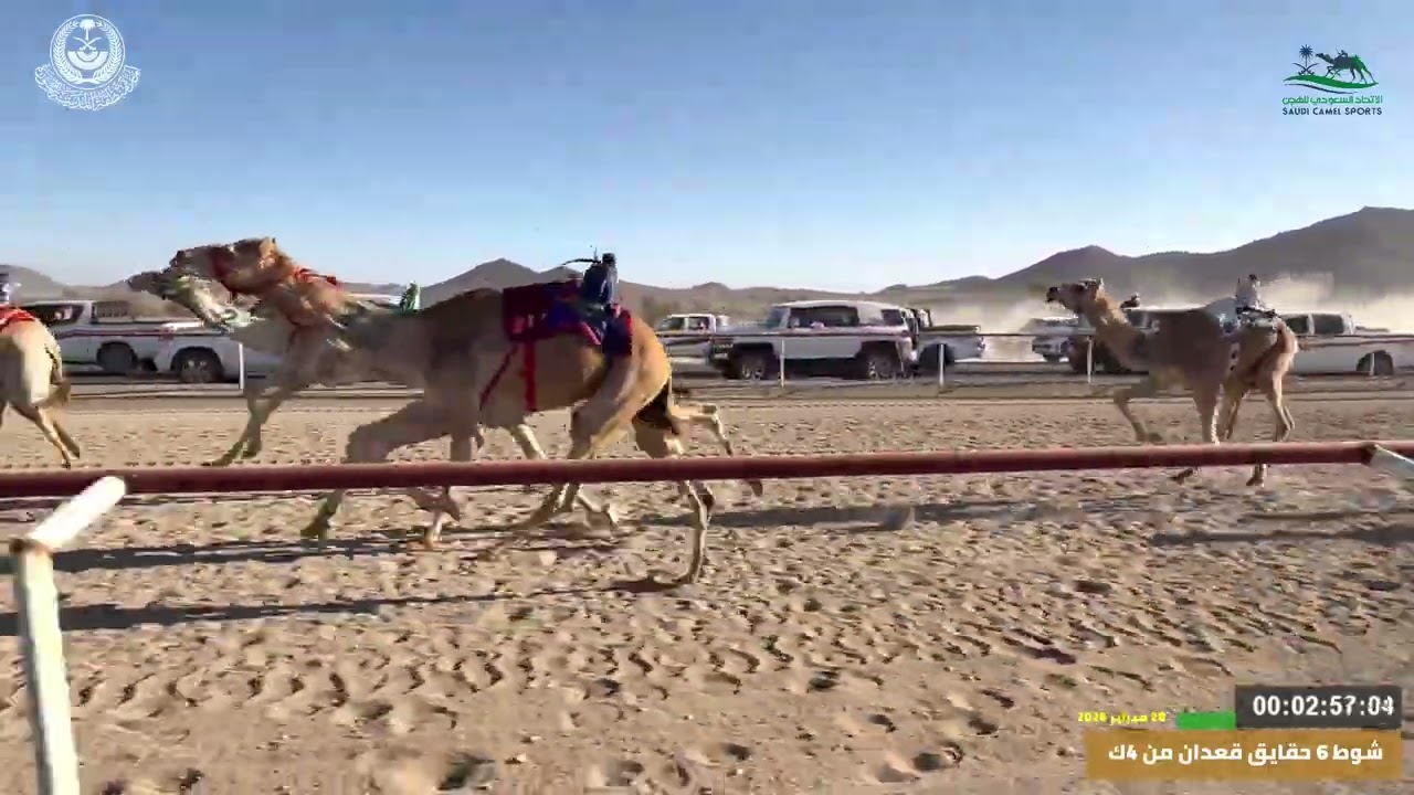 مهرجان ميدان اليتمه لسباق الهجن الاول  الشوط 6 حقايق قعدان  من 4ك شار لـ محمد مهدي العمراني