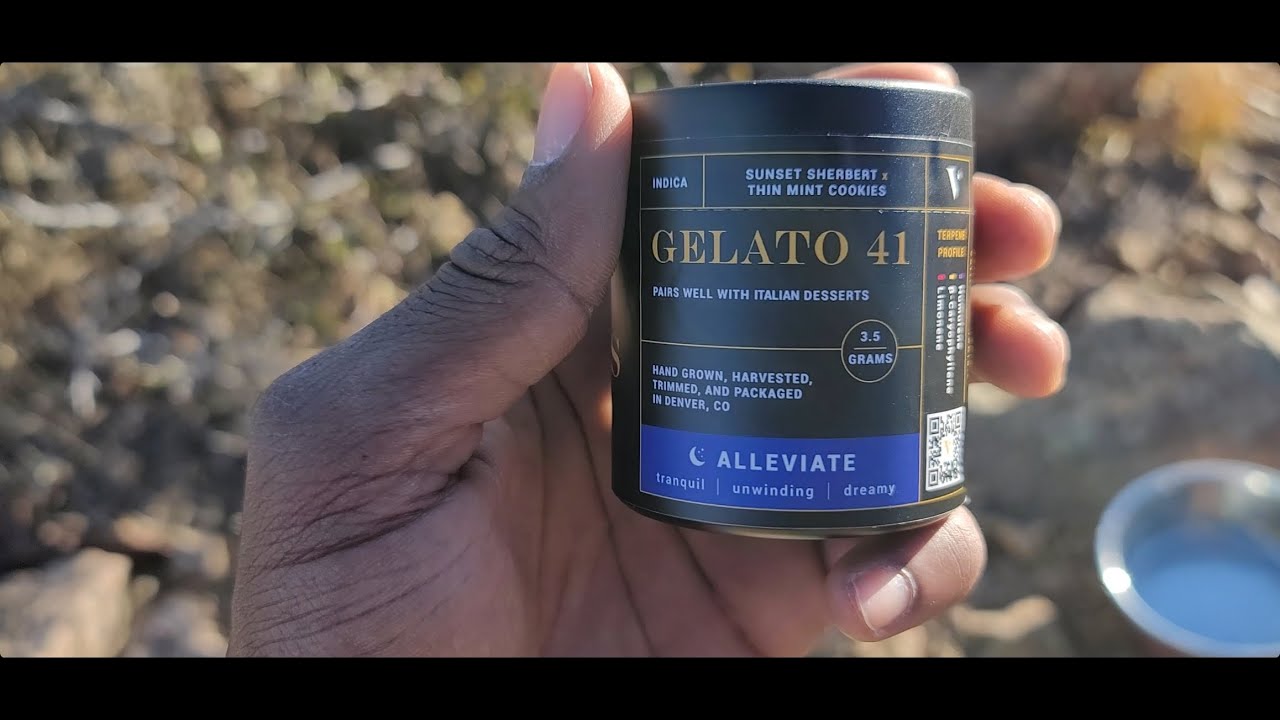 TOP SHELF - Gelato #41 Strain Review By Veritas Fine Cannabis (Denver, Co)