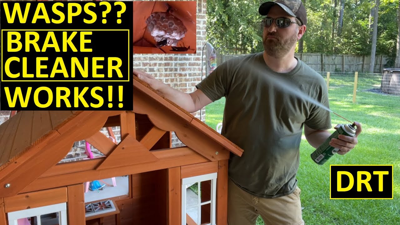 Wasp Nest Removal - Brake Cleaner vs. Red Wasps