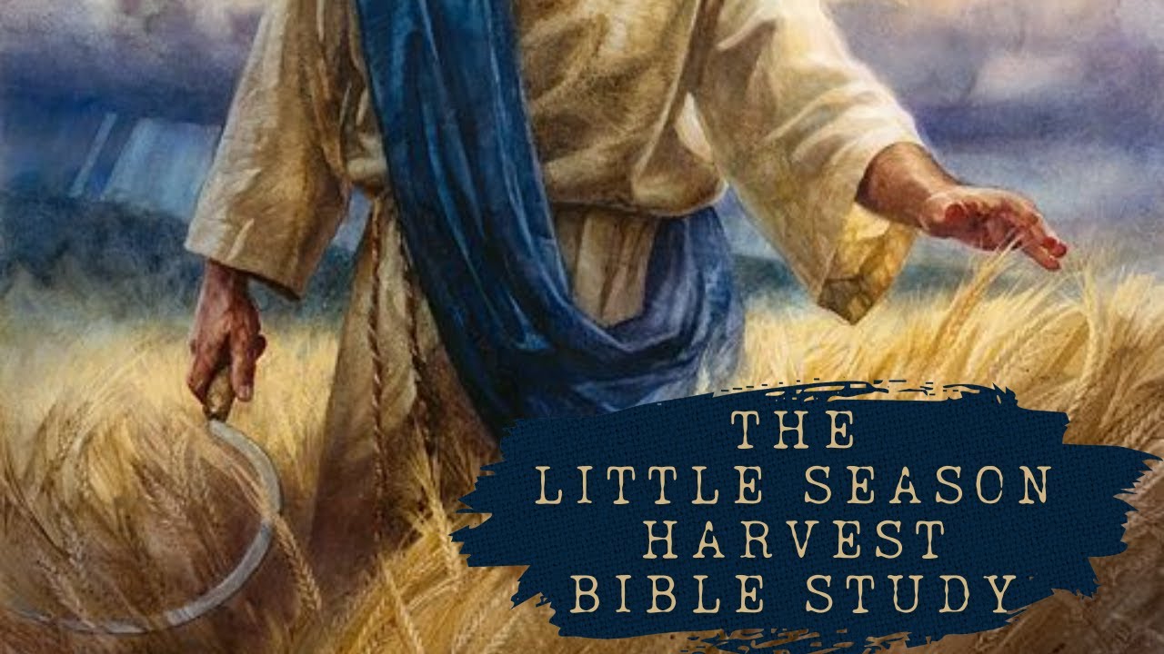 The Little Season Harvest ~ Bible Study with @BiblicallyBased101 and @DonicaTibbetts