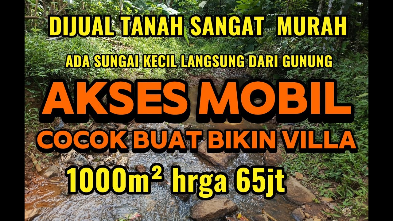DIJUAL TANAH MURAH KEBUN MANGGIS DAN DURIAN CAMPEDAK 1000m² lebih 65 JT nego #dijualtanahmurah #fypp