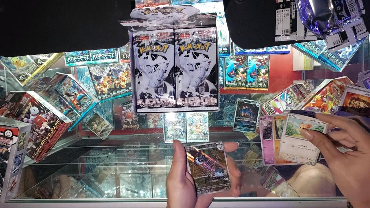 OUVERTURE DISPLAY POK&Eacute;MON BLACK & WHITE SV11 White - Pok&eacute; Sensei Noum&eacute;a