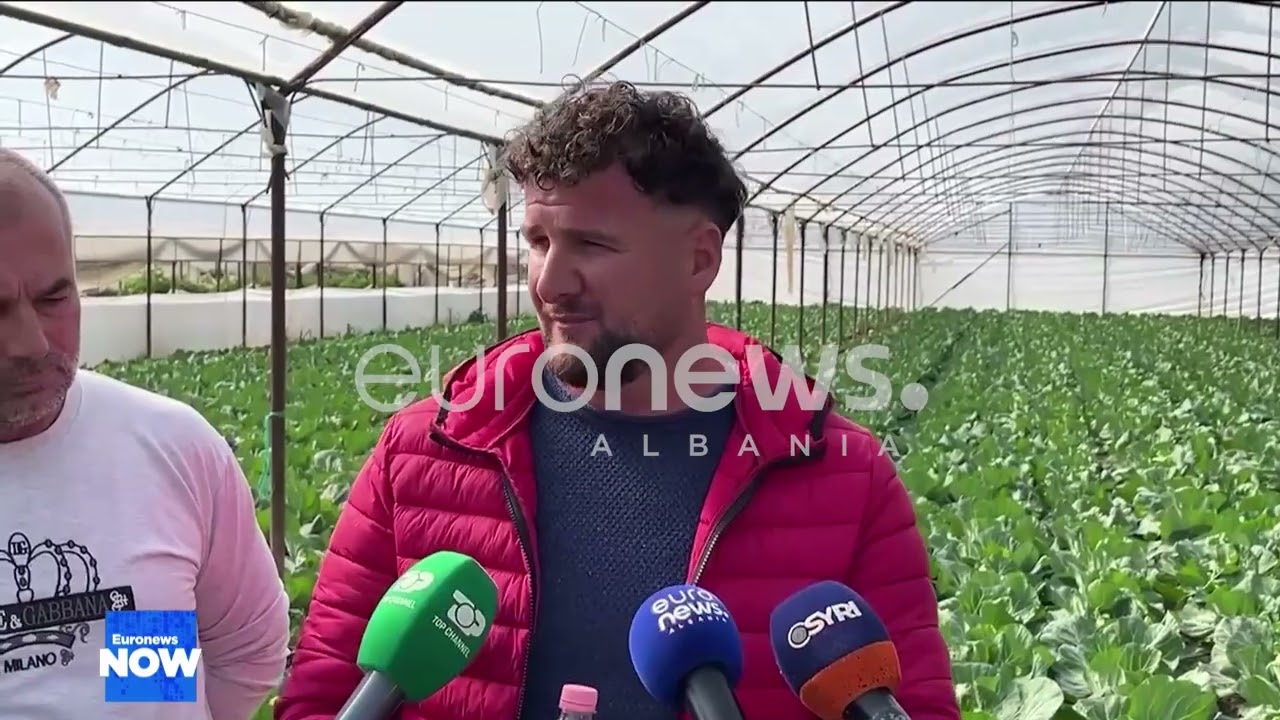 80% e prodhimeve bujqësore me probleme cilësie, fermerët e Jagodinës drejt falimentimit