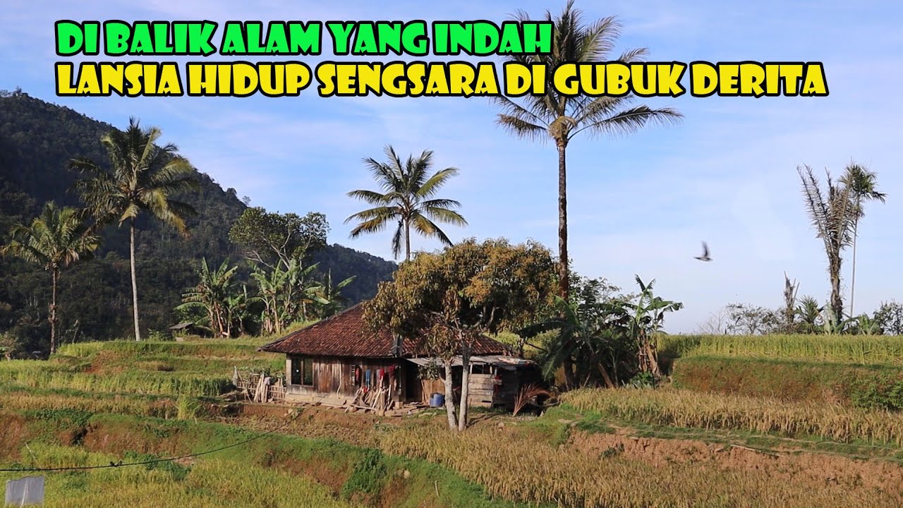 MIRIS...Di Balik Alam Yang Begitu Indah....Ada Lansia Hidup Sengsara Di Gubuk Derita.