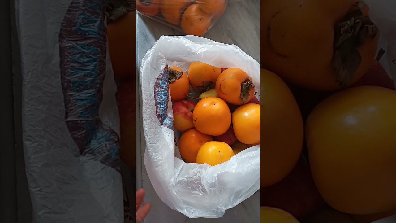 cennet hurması nasıl tez olgunlaşır