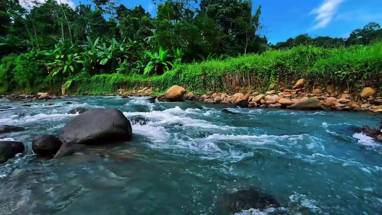 Serene River Sounds for Deep Sleep 🌙 Relaxing Flowing Water for Study & Meditation