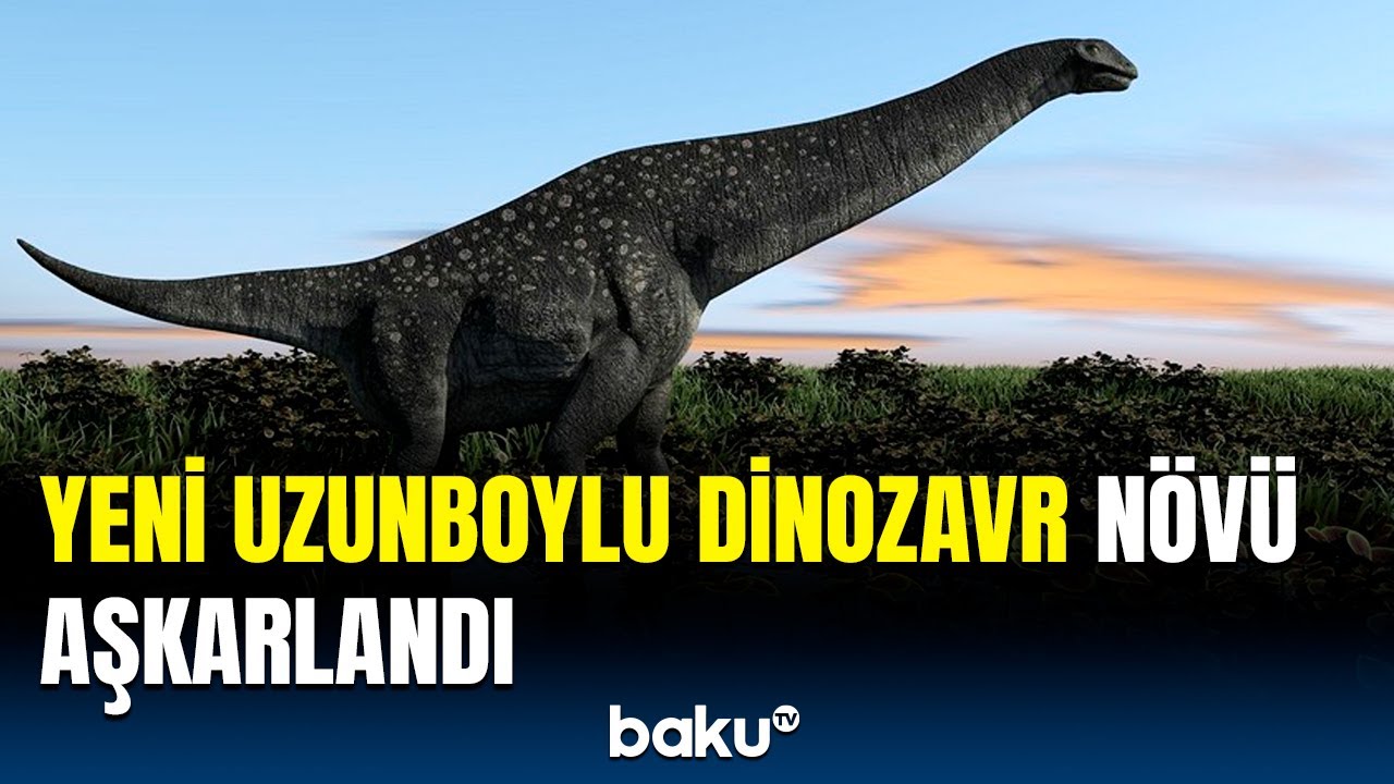 78 milyon yaşı olan titanozavrın &ouml;zəllikləri | Tədqiqat&ccedil;ılardan maraqlı məlumatlar