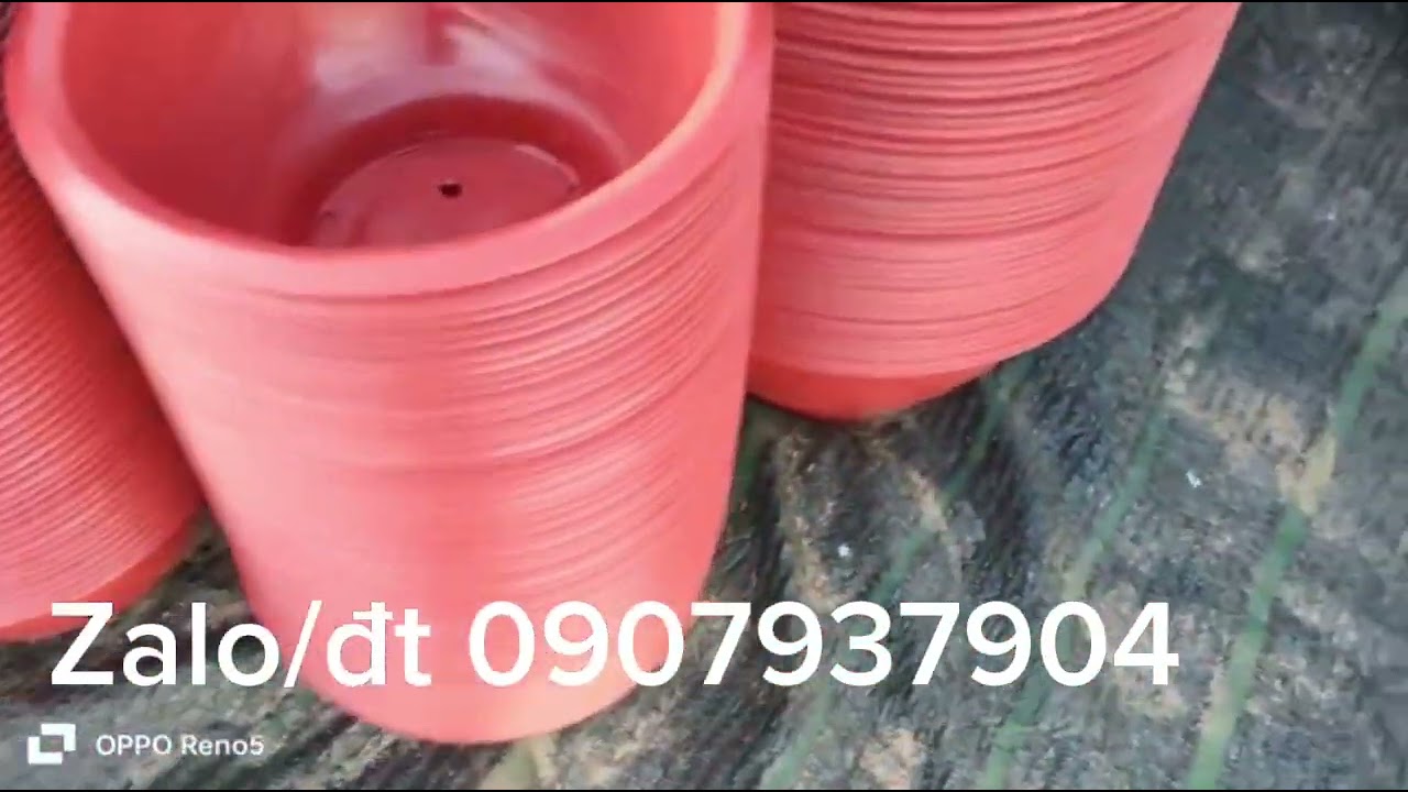 chậu nhựa truyền thống t38 giá 13k t48 giá 19k t58 giá 33k.mua hàng liên hệ e nhé cả nhà