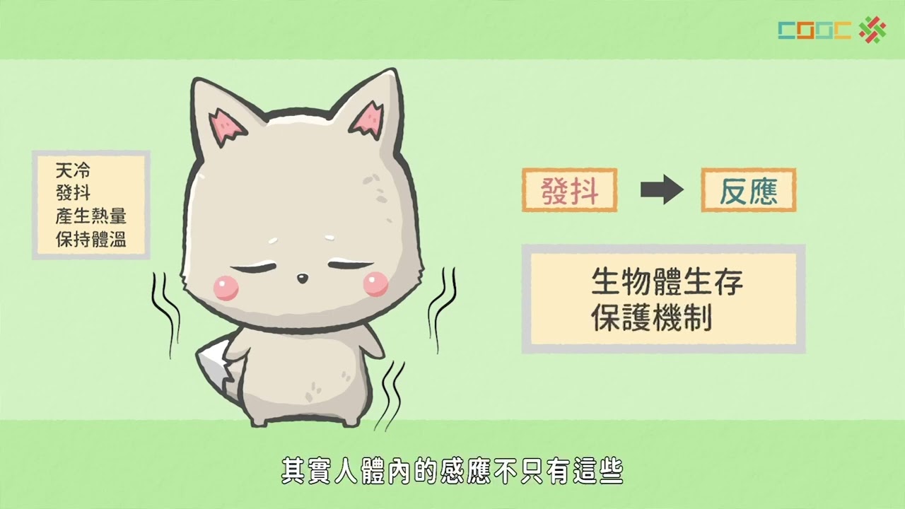 【討論】神經系統和內分泌系統會共同協調生理反應