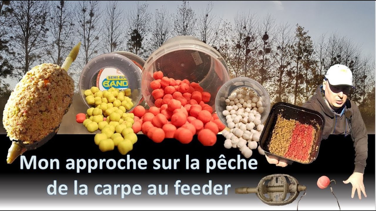 Mon approche sur la pêche de la carpe au feeder