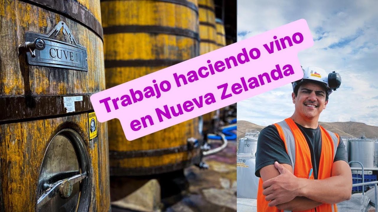 🍷🍇Trabajar haciendo vino en Nueva Zelanda sin experiencia y como profesional, Winery insdustry🍇🍷