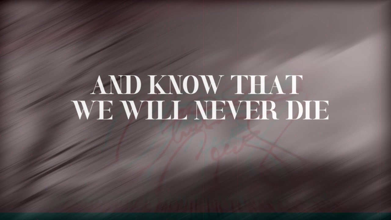 Amon Amarth - Raven's Flight [Lyric Video]