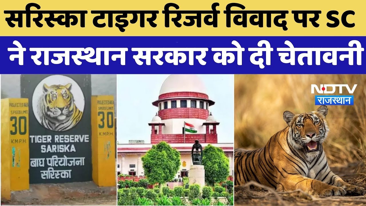 Alawar News: Sariska Tiger Reserve विवाद पर Supreme Court ने Rajasthan सरकार को दी चेतावनी |Top News