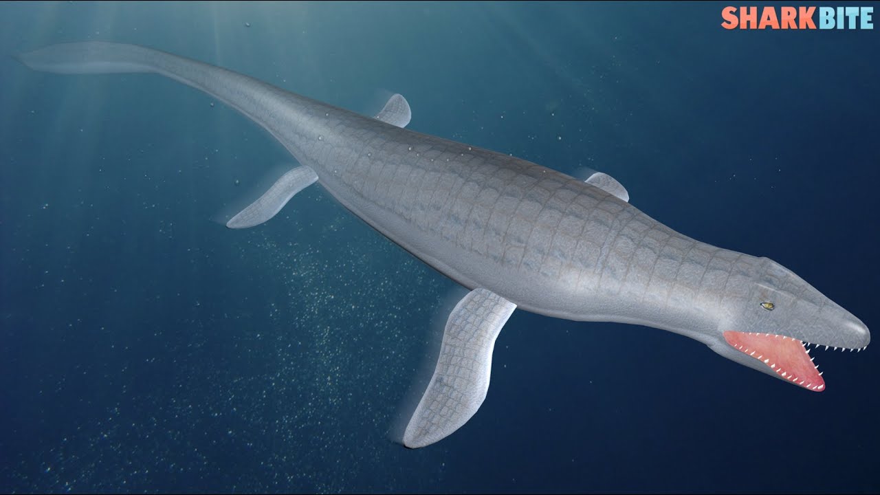 🦈КУПИЛ ТИТАНИК И СЪЕЛ ЕГО В РОБЛОКС ШАРК БАЙТ🦈