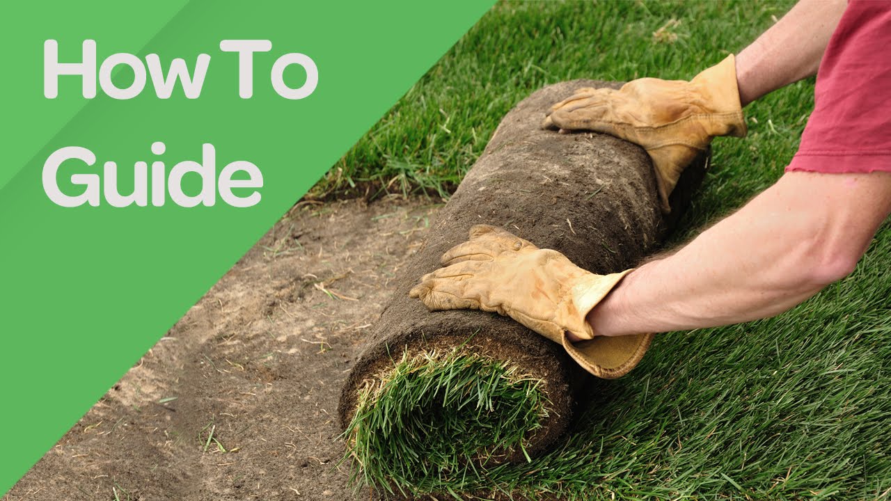 How to Lay Turf | Online Turf