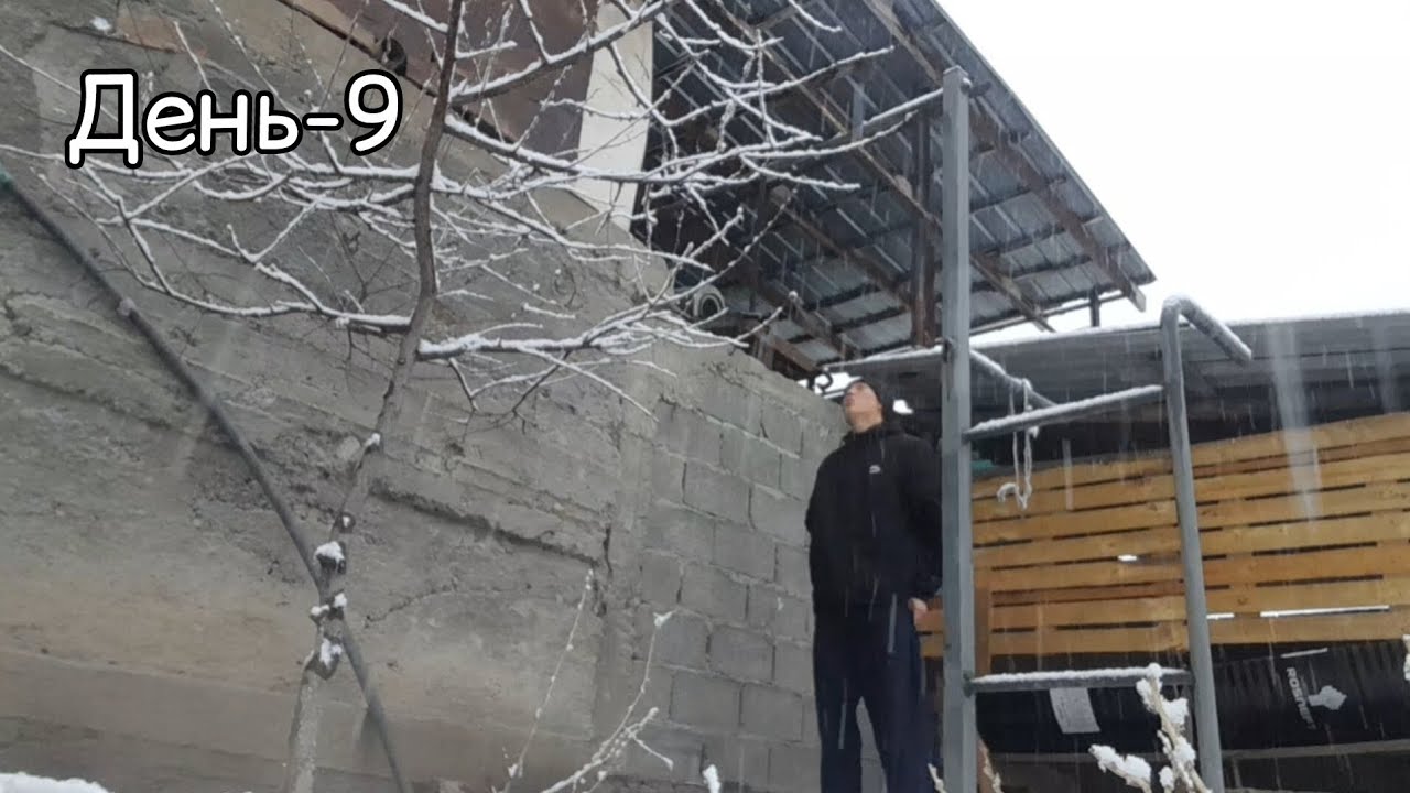 День 9. Спина и бицепс.