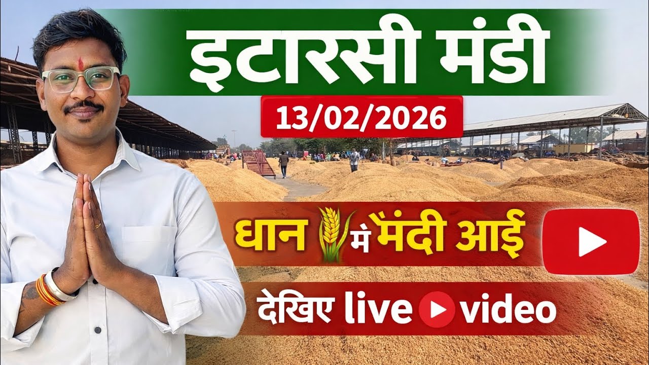 धान 🌾 के भाव में मंदी || इटारसी मंडी #itarsimandibhav05 #paddyratetoday #mandibhav 