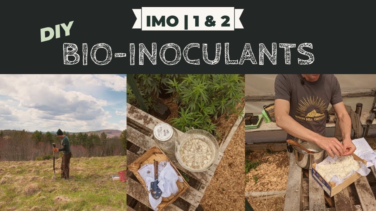 Collecting Indigenous Microorganisms / IMO 1 & 2