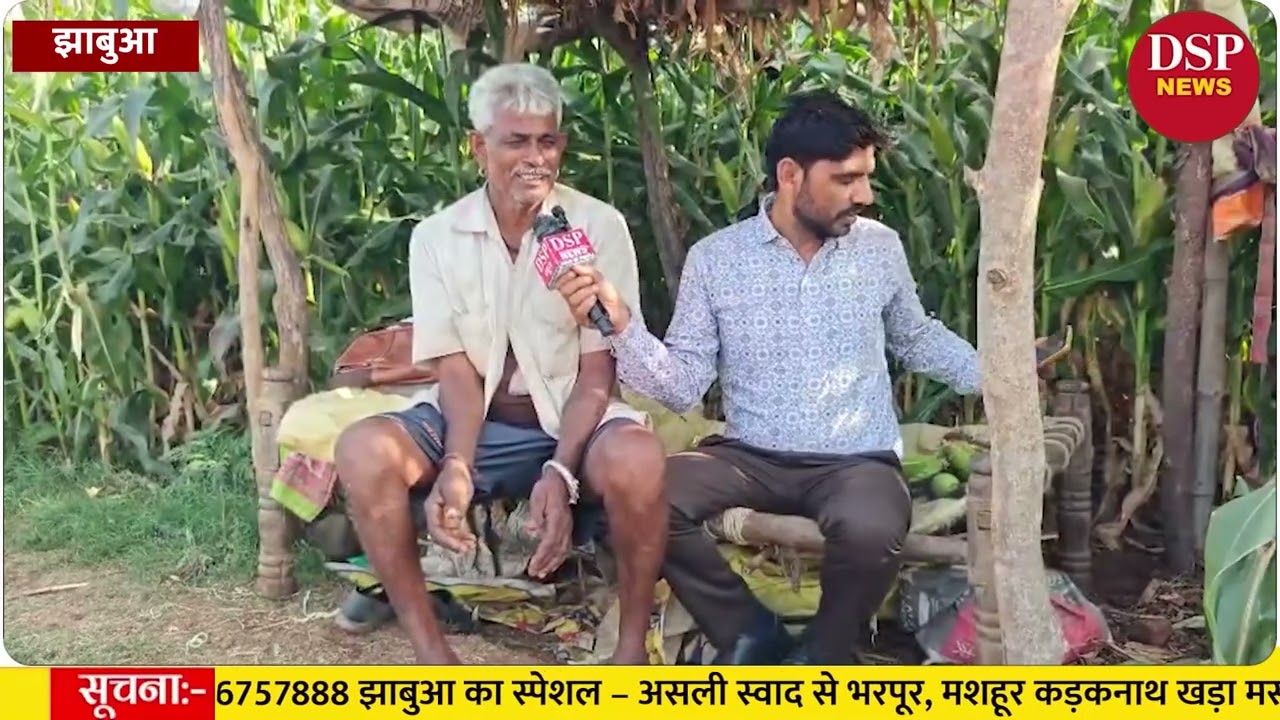 खेत में लहलहाती मक्की, खटिया पर सुकून: आदिवासी किसान की सफलता की कहानी सुनिए DSP न्यूज़ पर#jhabua 
