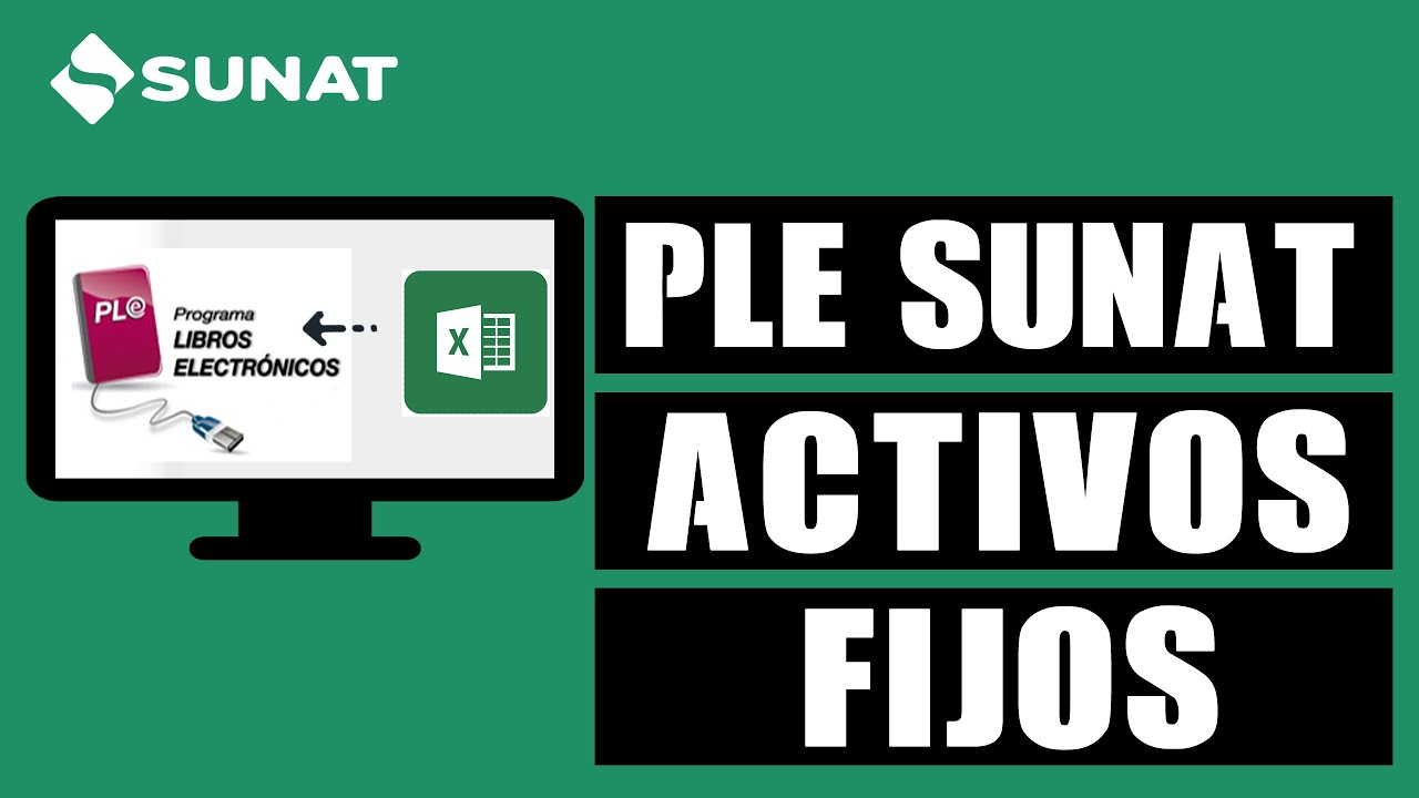 PLE 5.2 SUNAT Registro de activos Fijos - Macro Excel