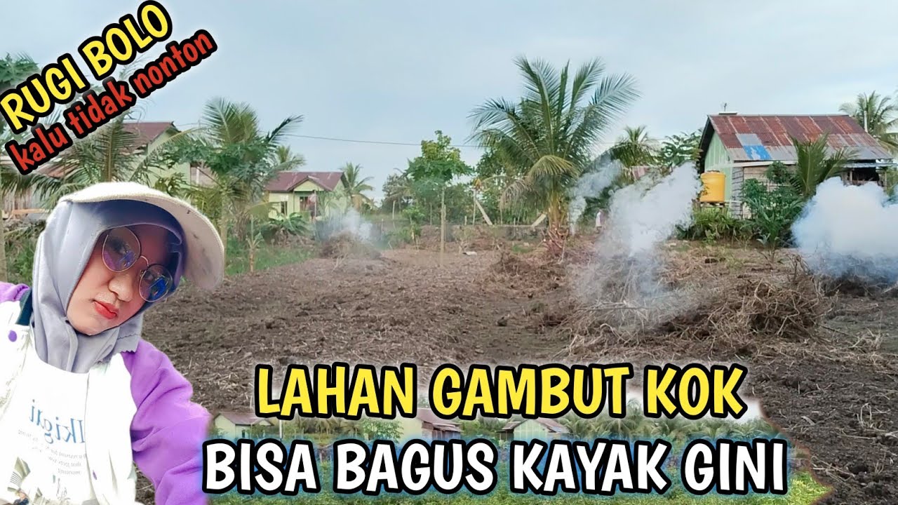 BERUNTUNG SEKALI BISA IKUT TRANSMIGRASI KALIMANTAN UTARA SP 10,