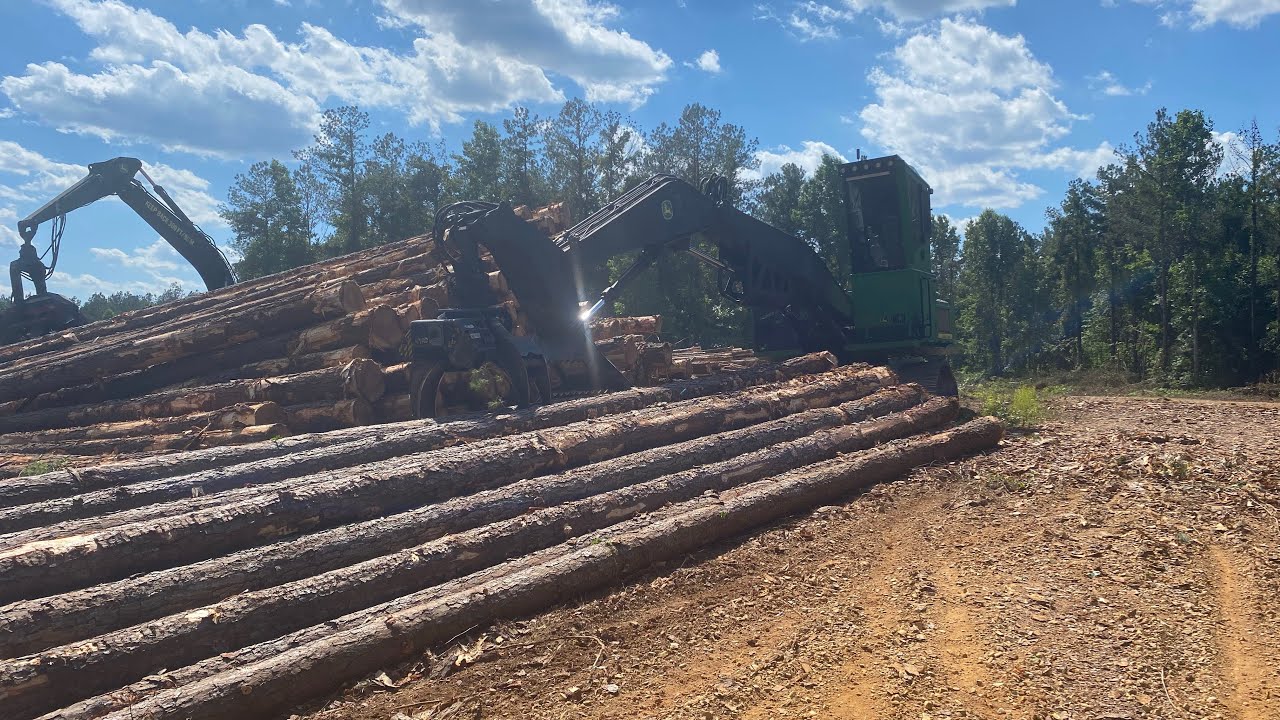 Working in the woods today 💪🏻