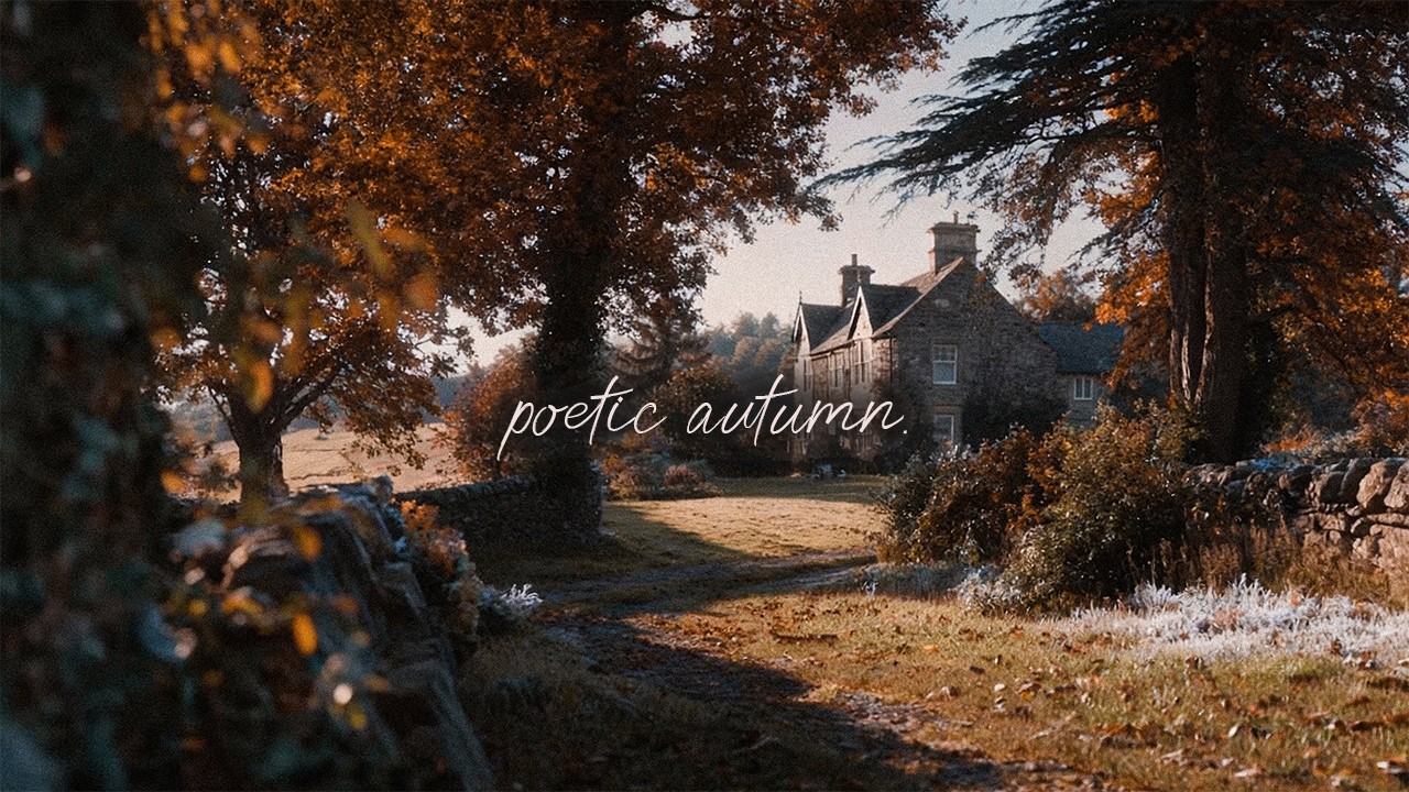 when life feels like poetry (calm piano for studying/relaxing) 📖