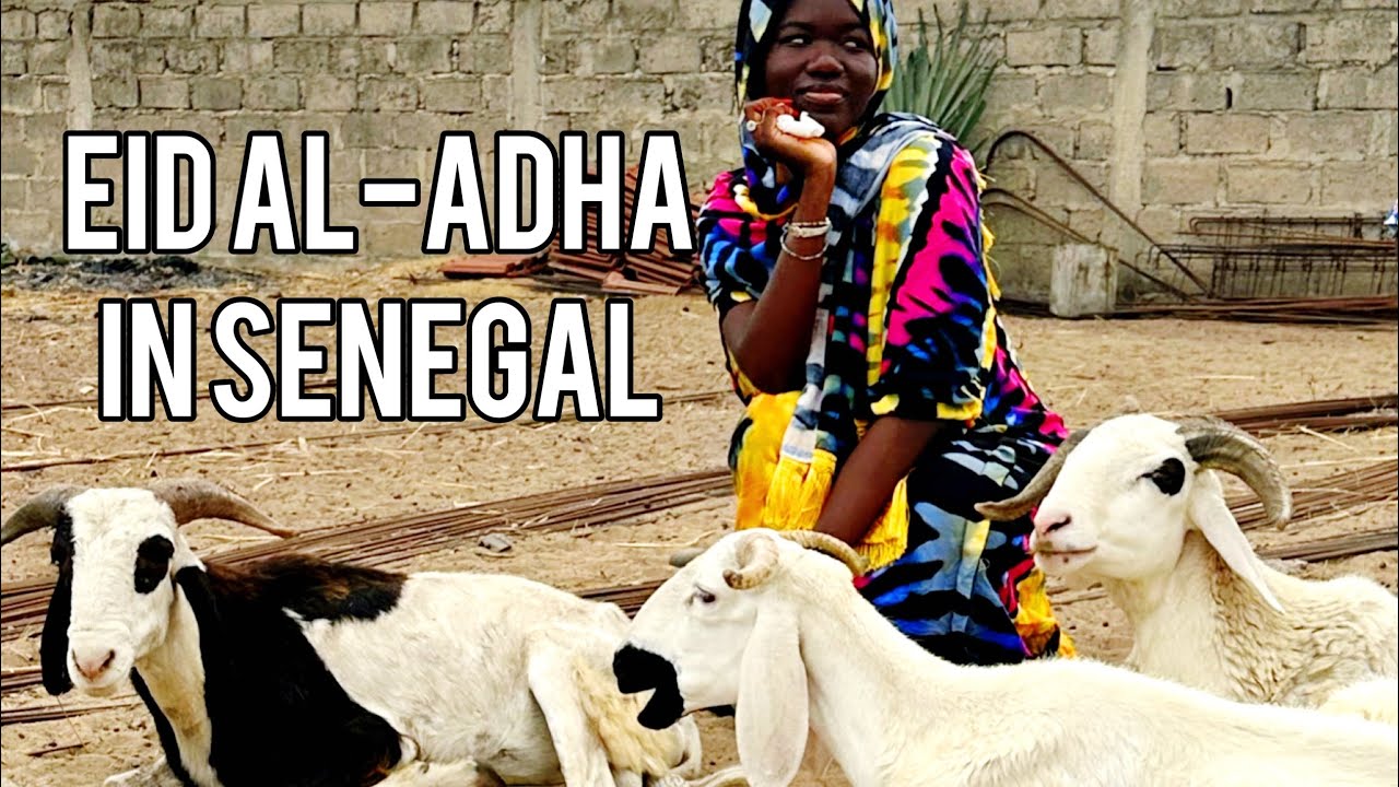 SPENDING EID IN SENEGAL | #Tabaski vlog 🇸🇳