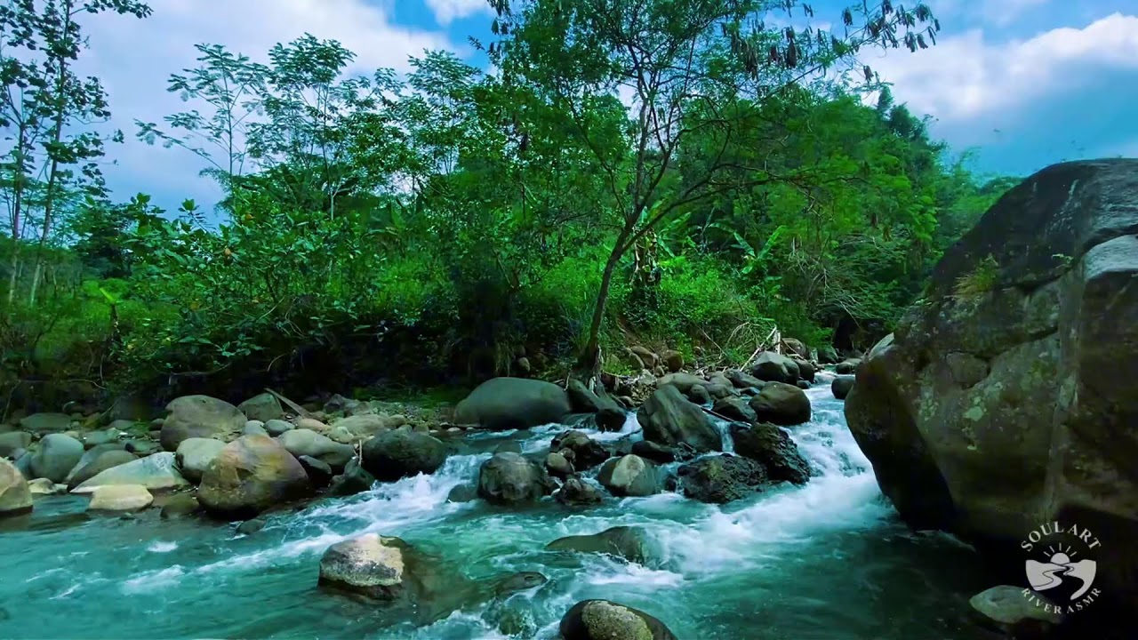 River Sounds & waterfall Sounds for Sleeping | Nature Stream for Relaxing & Stress Relief. #river 2