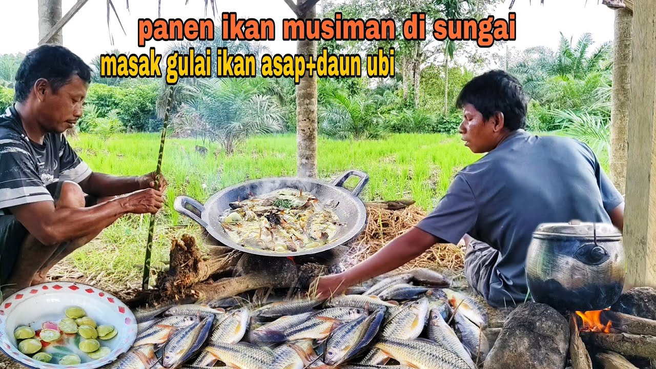 MANCING IKAN MUSIMAN DI SUNGAI DAN CARA MASAKNYA YANG ENAK, SIMPEL