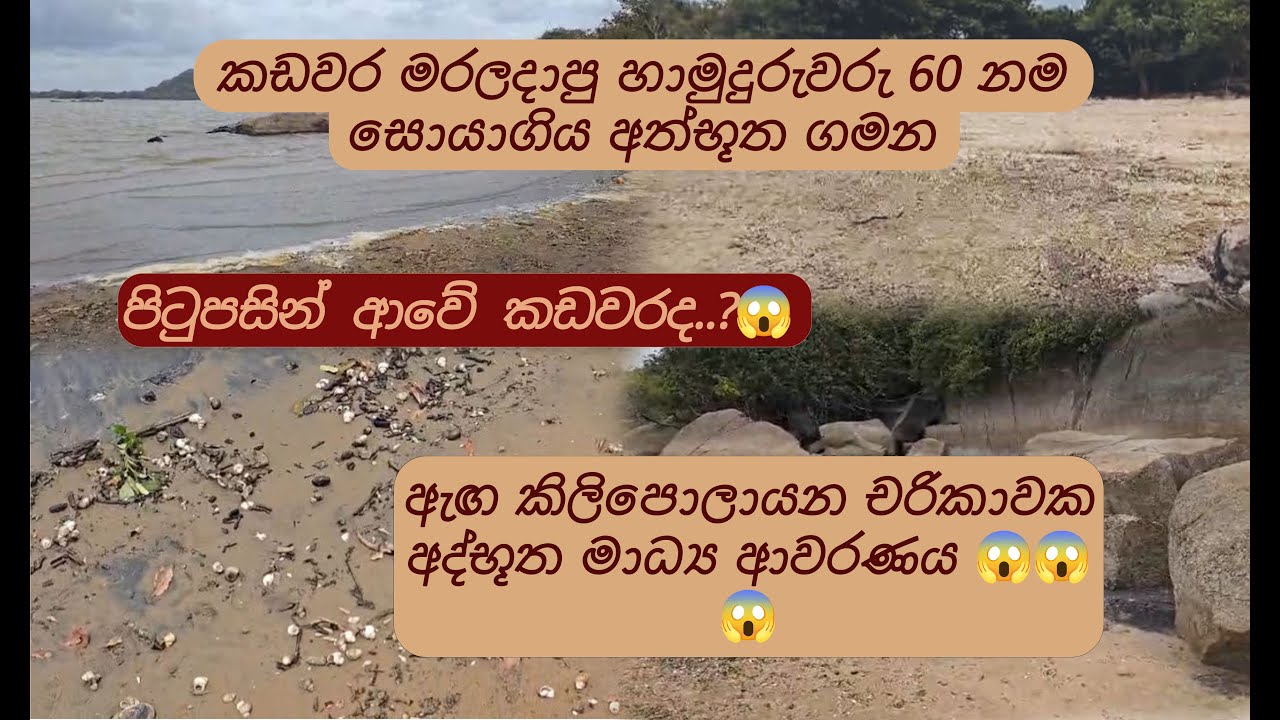 කඩවර මරලදාපු හාමුදුරුවරු 60 නම සොයාගිය අත්භූත ගමන..😱😱 | සාරථී | sarathee