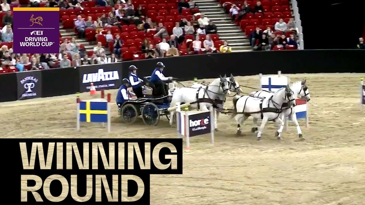 Bram Chardon - the Boss of Budapest | Winning Round | FEI Driving World Cup&trade; Budapest