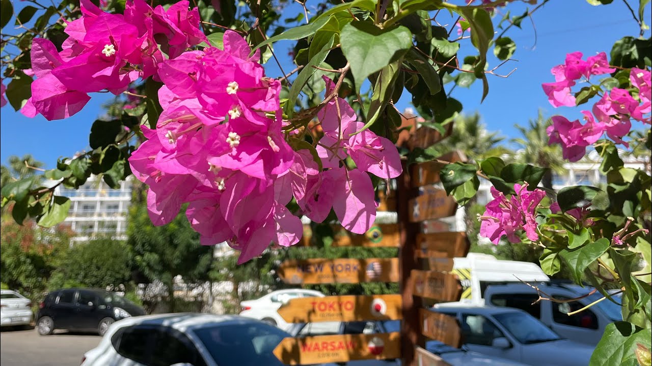 MARMARIS Part 1. Красивый вечер 🌅